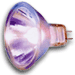 ushio lamps
